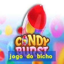 jogo do bicho documentario globoplay